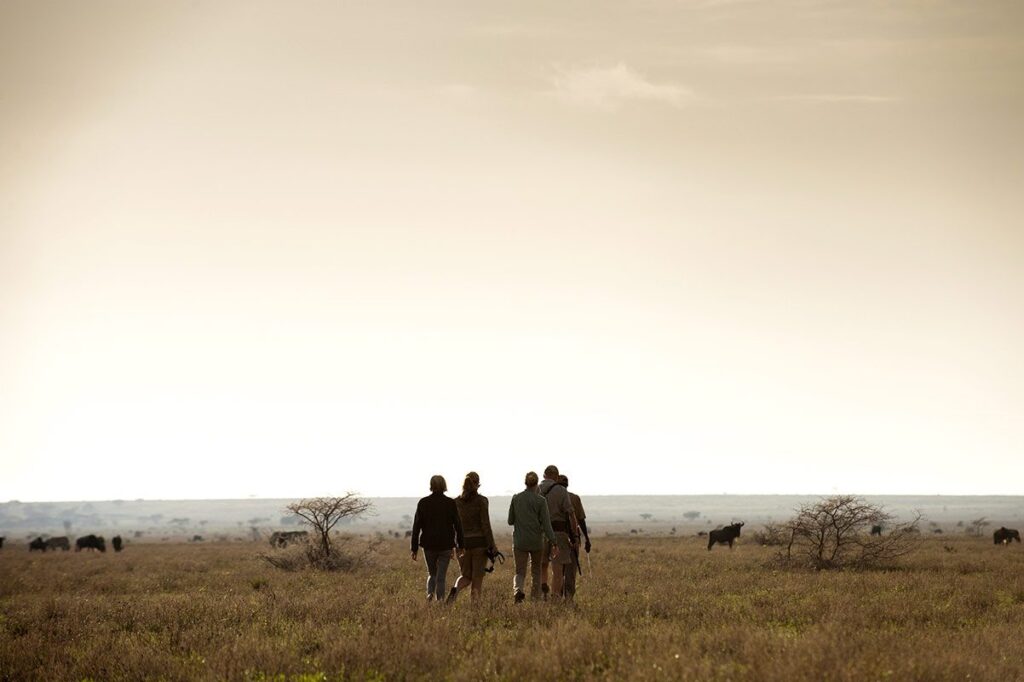 walking-safari-tanzania